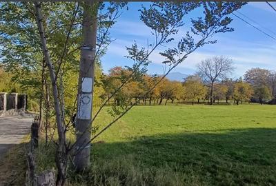 Teren intravilan zona Bran,Tohanita - 8