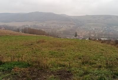 Casă individuală cu 4 camere cu Teren 7200 Mp în Arghira - 8