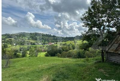 Teren de 1641 mp, în Gilău - 4