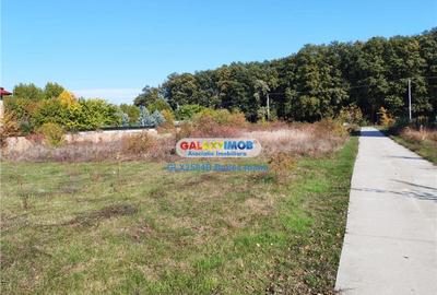 Teren Construcții intravilan de 471 mp, în Corbeanca - 8