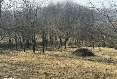 Spațiu comercial, în Central - 5