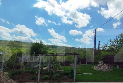 Casa+ casa vacanta, 2200 mp livada, Schitu-Duca - 3