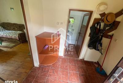 Casă cu 3 camere cu Teren 4484 Mp în Pianu - 7