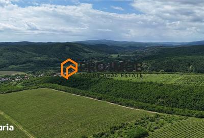 Teren de 7992 mp, în Vernești - 2