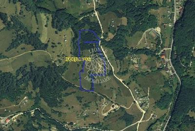 Teren extravilan investiție Rachitele Cluj - 31.555 mp - 8