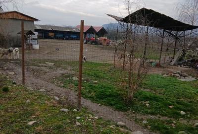 Spațiu comercial, în Apoldu de Jos - 3