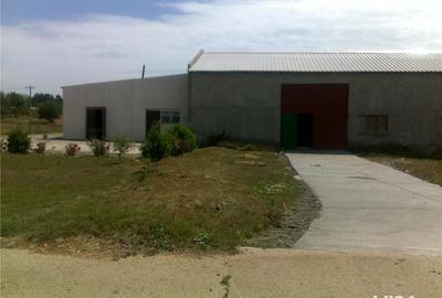 Spațiu comercial, de 8,000 mp, în Mangalia - 6