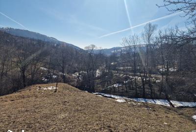 Teren de 4100 mp, în Secăria - 5