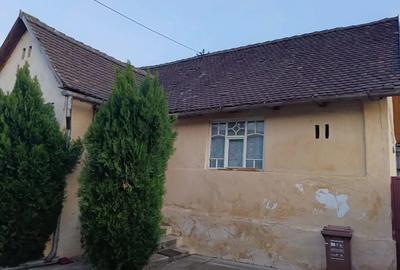 Casa de vanzare in maderat - 2