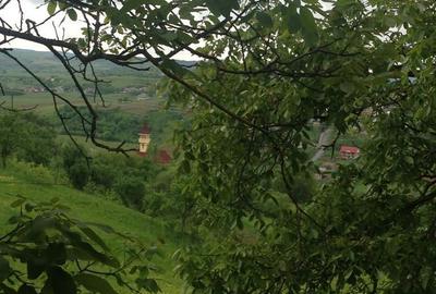 Teren de 4400 mp, în Băița - 4