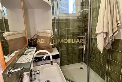 Apartament cu 2 camere decomandat, mobilat în Sala Palatului - 10