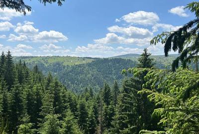 Spațiu comercial, în Mărișel - 5