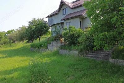 Teren 4800 mp cu Livada si Casa Nefinalizata - Adancata! - 2