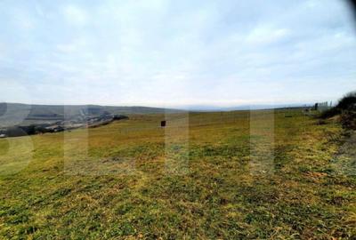 Teren de 4300 mp, în Sopor - 3