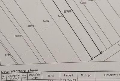 Teren de 2500 mp, în Ulmi