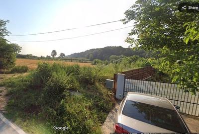 TEREN 1630MP CONSTRUCTII LANGA PADURE, UTILITATI, BALTA PESCUIT, SAT LIPIA,ILFOV - 3