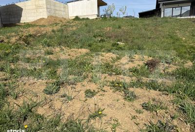 Teren de 500 mp, în Dumbrava 2 - 3
