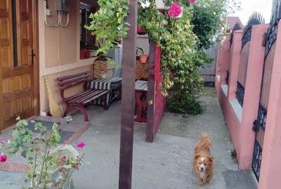 Casa de vanzare -Rm Sarat jud Buzau - 10