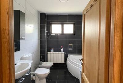 Cernica, Pantelimon, langa padurea Cernica - 2