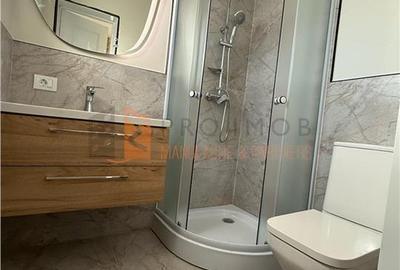 Casă individuală cu 3 camere cu Canalizare în Gura Câlnăului - 17