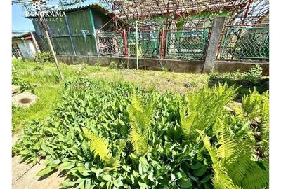 Casă cochetă de vânzare - Cartierul Moșnei - 11