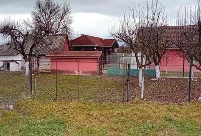 Casă cu 2 camere cu Teren 892 Mp în Băcia - 3