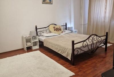 Apartament cu 2 camere, mobilat în Herăstrău - 6