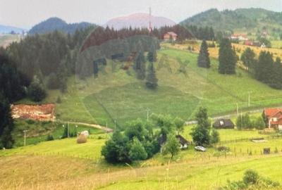 Teren de vis in Fundata 3700mp, la inaltimea sufletului tau