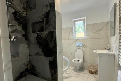 Casă cu 7 camere cu Teren 2500 Mp în Sucevița - 7