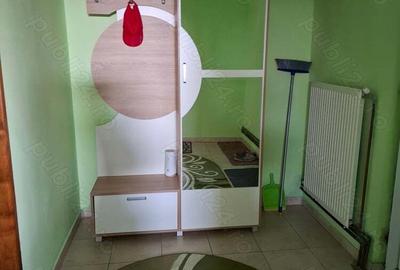 Casa cu lac in comuna Acas jud Saru Mare - 7