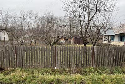 Vand casa cu gradina - 3