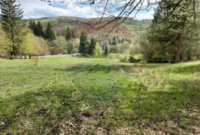 Teren agricol extravilan de 2800 mp, în Central - 25