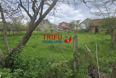 Casă cu 2 camere cu Teren 3101 Mp în Galda de Jos