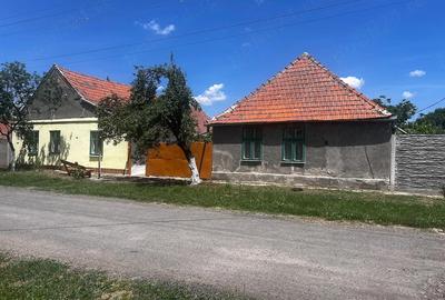 Casă cu Teren 2900 Mp în Jamu Mare - 2