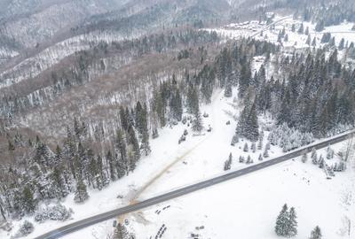 Teren Construcții intravilan de 10440 mp, în Poiana Brașov - 8