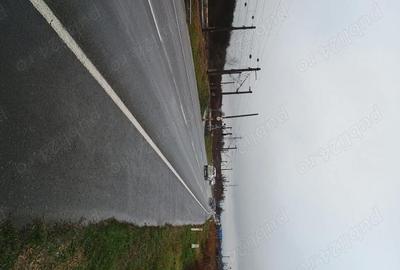 Teren de 6500 mp, în Băcia