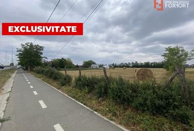 Teren intravilan Mosnita Noua cu front la soseaua principala - ID V3915 - 3