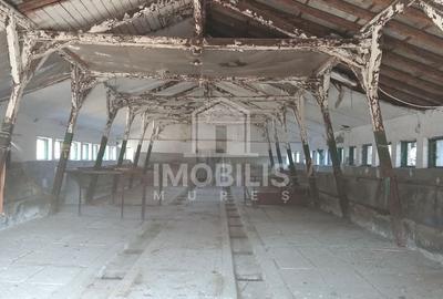 Teren intravilan I 13134 mp I cu potențial de business | zona Budiu - 9