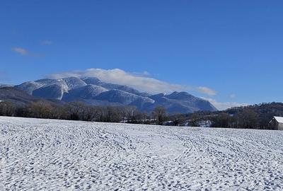 Teren de 5000 mp, în Pănicel - 6