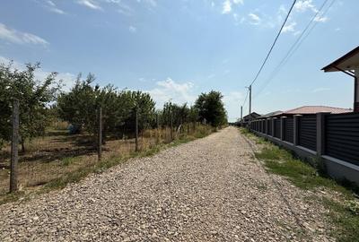 TEREN PENTRU CONSTRUCTIA CASEI, MIROSLAVA, VALEA URSULUI - 5