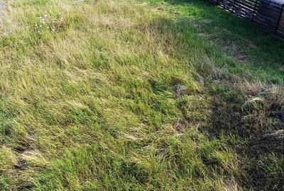 Casa individuala in Gilau, 120 mp utili, 540 mp teren, zona linistita de case - 8