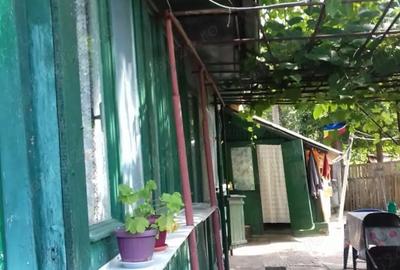 Casă cu Teren 1600 Mp în Sărulești