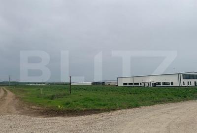 Teren de 41000 mp, în Central - 3