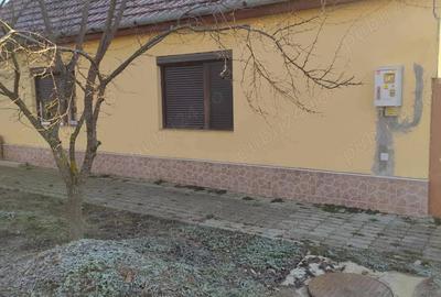 Casă cu 4 camere cu Teren 1750 Mp în Șag - 1