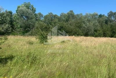 Teren in zona turistica Porumbacu de Sus - 2