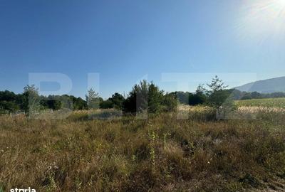 Teren de 4000 mp, în Dărmănești