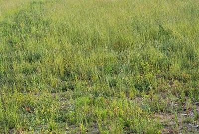 Spațiu comercial, în Biharia - 7