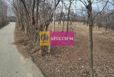 Teren intravilan de vanzare in Cornu de Jos - 7