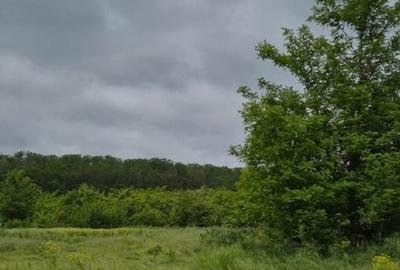 Poprietar - Loc de casa - Snagov - teren intravilan Poprietar - Loc de casa - Snagov - teren intravilan - 3