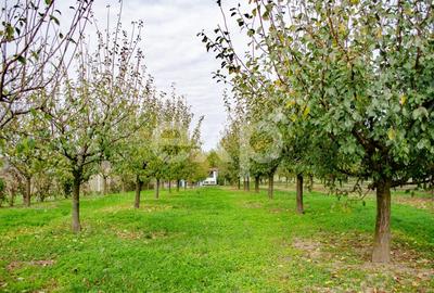 Teren Construcții intravilan de 1191 mp, în Sârbova - 5